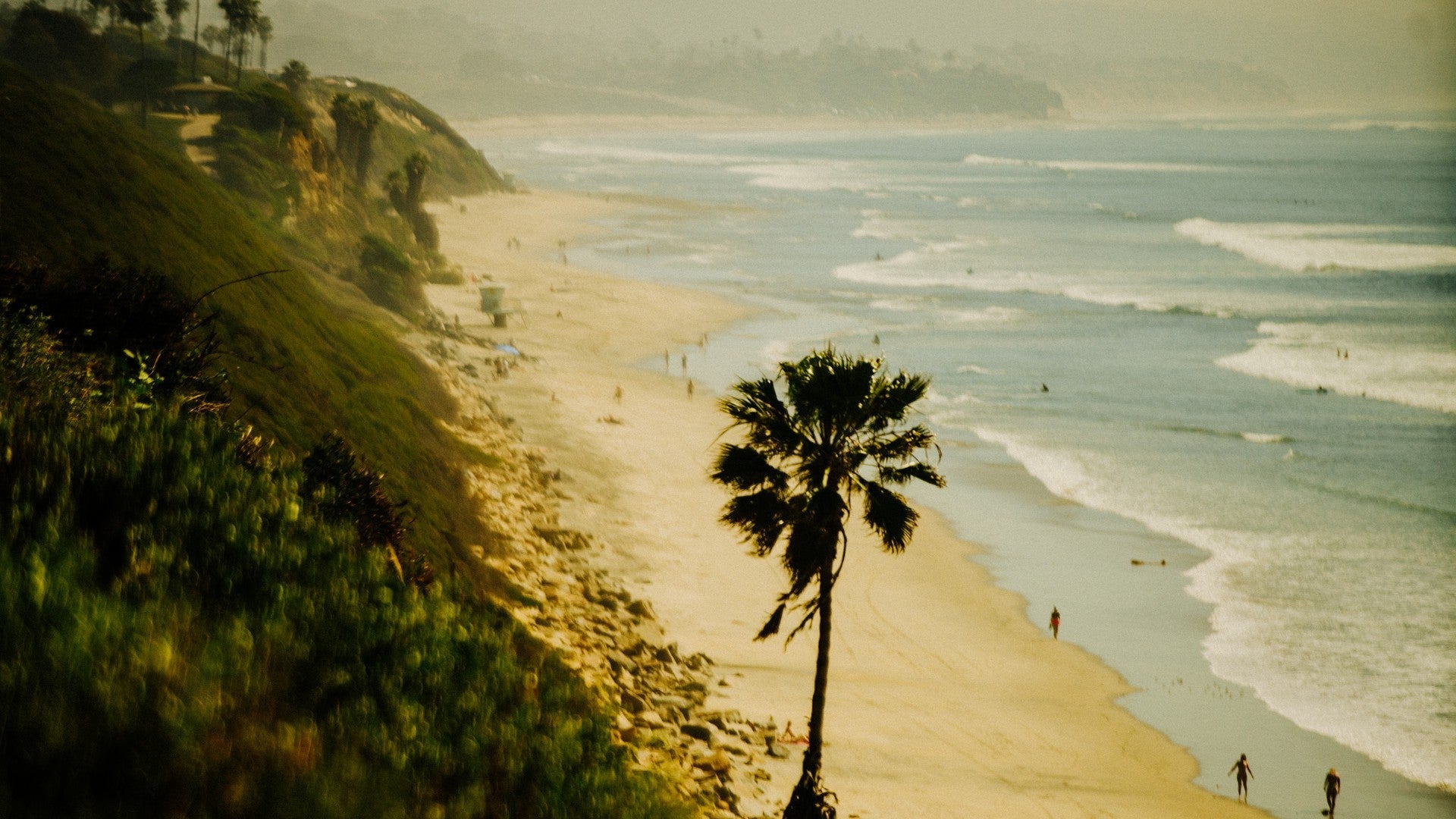 Seaside Summer Shades