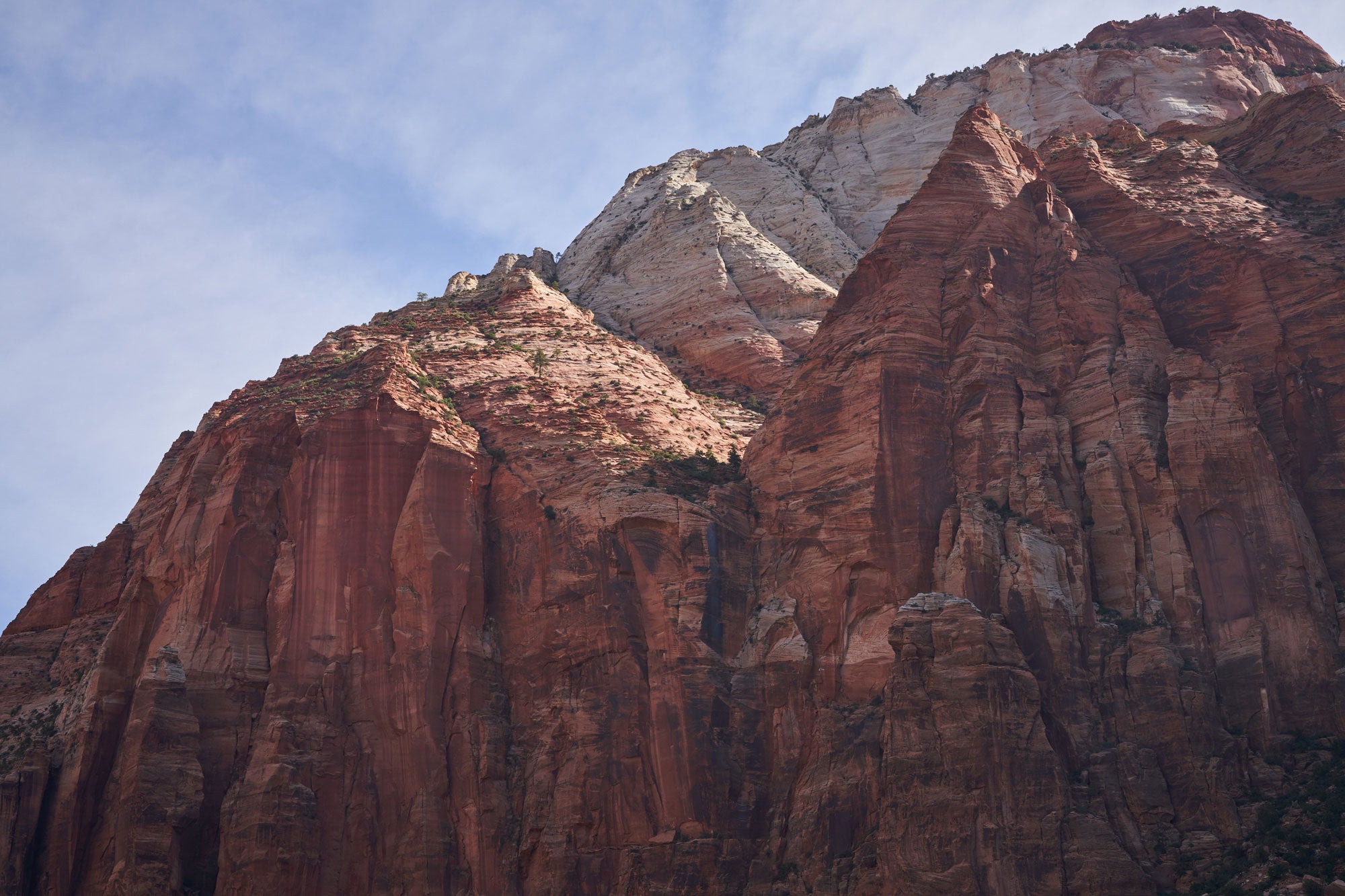 Mountain Ridge